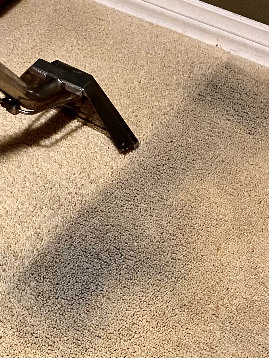 Carpet cleaners Guelph